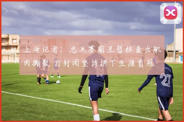 上海记者：总决赛前王哲林查出肌肉撕裂 打封闭坚持拼下生涯首冠